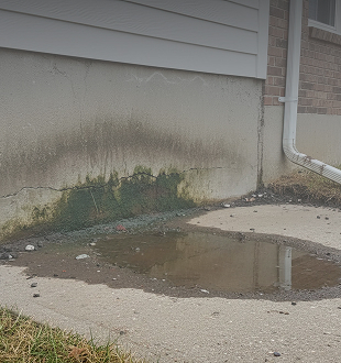 Slab Leaks / Foundation Seepage