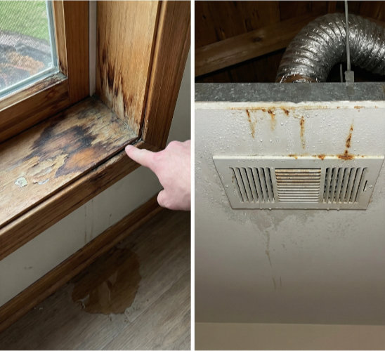 Roof, Window & HVAC Leaks