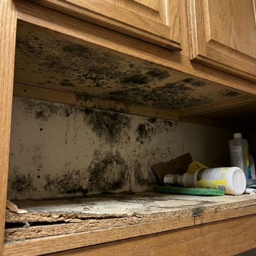 Hidden Mold from Plumbing Leaks