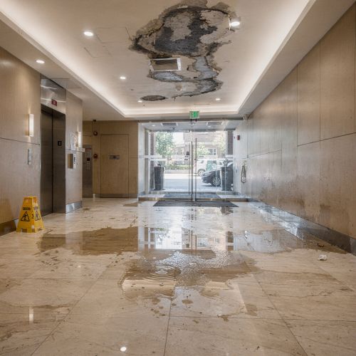 Water & Plumbing Damage