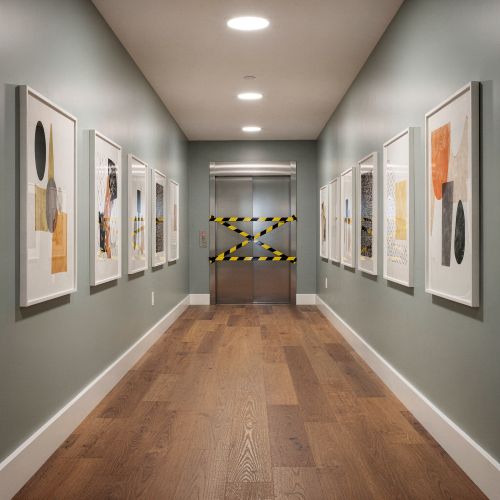 Structural & Common Area Damage