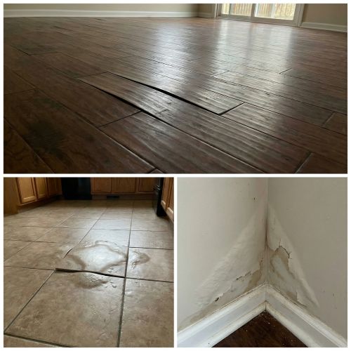 Flooring & Interior Damage