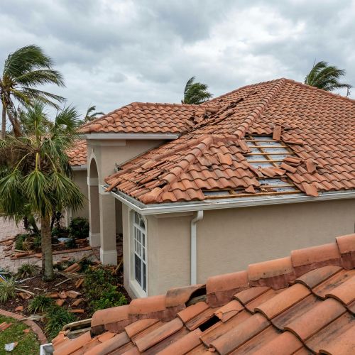 Roof & Shingle Damage