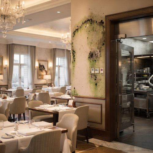 Mold & Moisture Damage