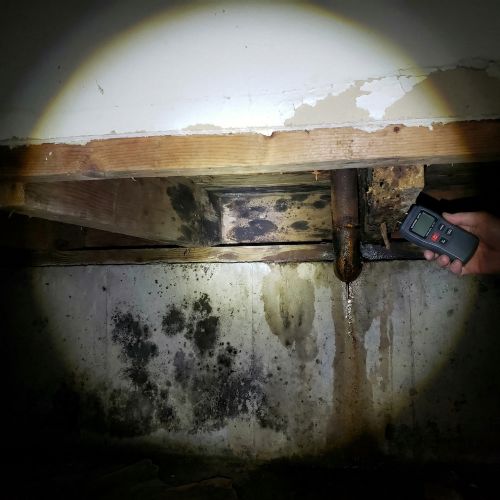 Mold & Secondary Moisture Issues