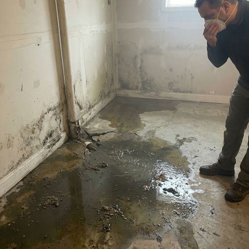 Sewer or Drain Line Leaks