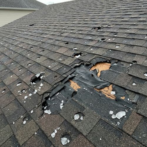 Roof & Shingle Damage